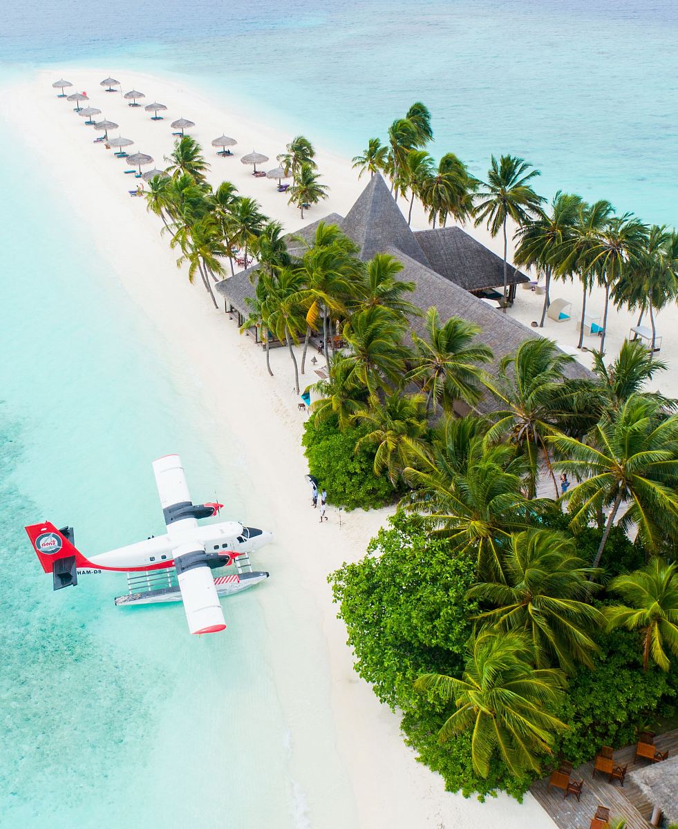 plane parked beside the trees on seashore